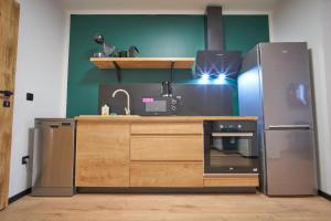 a kitchen with a refrigerator and a counter with a sink at Apartmány U Rodinky in Lipova Lazne
