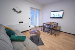 Μια τηλεόραση ή/και κέντρο ψυχαγωγίας στο Apartmány U Rodinky +37 φωτογραφίες