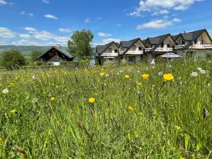 a field of grass with flowers in front of houses at Domek nad jeziorem Czorsztyńskim Velo in Frydman