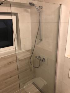 eine Dusche mit Glastür im Bad in der Unterkunft Hochfeld Apartment in Augsburg in Augsburg