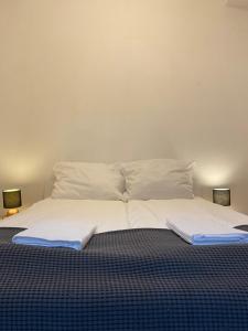 1 cama con 2 sábanas y 2 almohadas en Lux Apartment near Frankfurt!, en Mörfelden-Walldorf