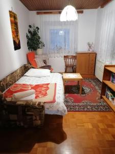 een slaapkamer met een bed en een tafel bij Apartma Tilika in Kranjska Gora