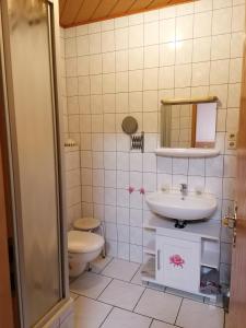bagno con lavandino, servizi igienici e specchio di Gästehaus Schirner a Niederau