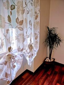 a curtain in a room with a plant next to a window at CASA BOUNTY in Trieste