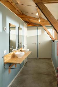 Vragender的住宿－Achterhoeks Goed, Minicamping in Vragender，浴室设有2个水槽和2面镜子