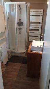 uma casa de banho com um chuveiro e um balcão com um lavatório em Le Bleu Roi - Appartement calme proche de la Gare em Caen