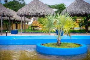 uma pequena palmeira numa ilha azul na água em Pousada Marina em Barreirinhas