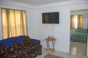 a living room with a couch and a tv and a bed at Comfort Air B & B in Mount Gay