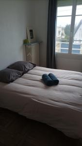 Кровать или кровати в номере Le Bleu Roi - Appartement calme proche de la Gare