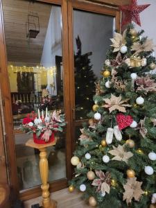 Afbeelding uit fotogalerij van Pensiunea Bradet in Broşteni