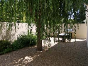 リル・シュル・ラ・ソルギュにあるLe Cabanon de Lauraの庭の木