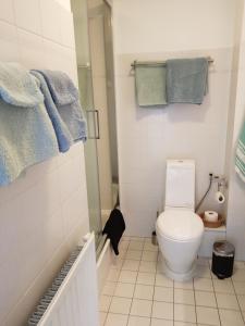 uma casa de banho com WC e toalhas na parede em Casa Paz em Elst