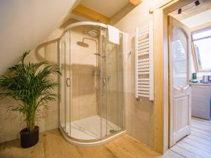 a shower in a room with a potted plant at Rezydencja Widokowa in Bukowina Tatrzańska +51 photos