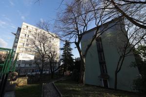 a white building with a tree next to a building at Rijeka Budget Rooms in Rijeka
