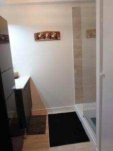 een kleine badkamer met een douche en een wastafel bij 2TERIMP03 Superbe T2 neuf rez de chaussée avec 1 chambre et terrasse in Collioure