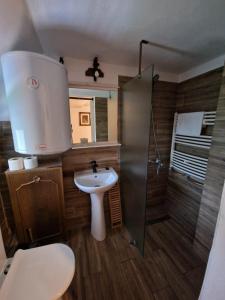 W łazience znajduje się umywalka i prysznic. w obiekcie Pensiunea Bradet w mieście Broşteni