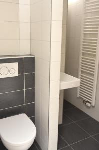 La salle de bains est pourvue de toilettes et d'un lavabo. dans l'établissement Het Kievitsnest, à Oudehaske
