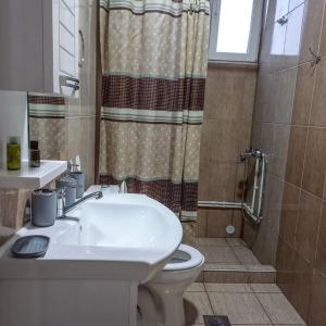 a bathroom with a sink and a toilet and a shower at Majska Rosa in Resen
