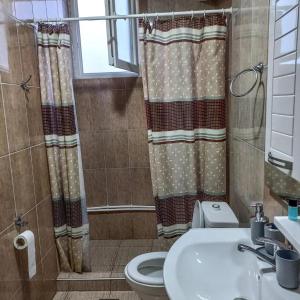 uma casa de banho com um WC, um lavatório e um chuveiro em Majska Rosa em Resen