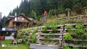 Aed väljaspool majutusasutust Chalet Steiermark