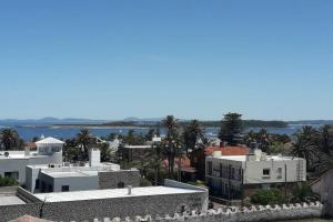 埃斯特角城的住宿－Apartamento en Península con vista a las Islas 1 Dorm y Estar，享有拥有建筑和棕榈树的城市美景