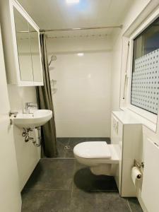 下克呂希滕的住宿－Ferienwohnung am Lindbruch，一间带卫生间和水槽的浴室