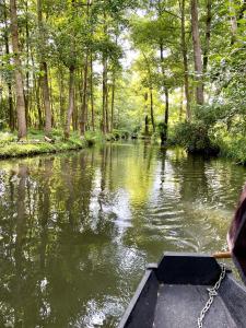 a boat on a river in a forest at Ferienapartments Spreewaldwiesen in Vetschau