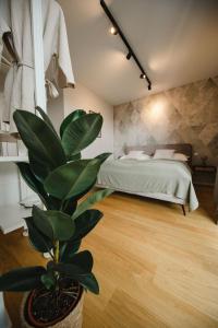 ein Schlafzimmer mit einem Bett und einer Topfpflanze in der Unterkunft URBAN UNIT - nearby city center in Wien