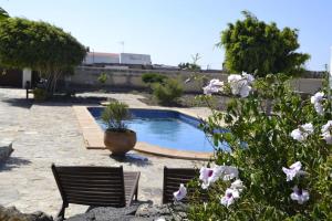 uma piscina com duas cadeiras e flores em Casa Volcán em La Oliva