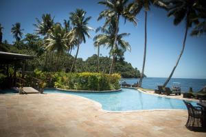 a swimming pool with palm trees and the ocean at Beqa Lagoon Resort in Beqa Island