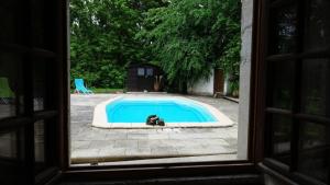 Bazén v ubytování chambre du jura nebo v jeho okolí