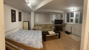 a bedroom with a bed and a couch and a television at Apartman MT in Kiseljak