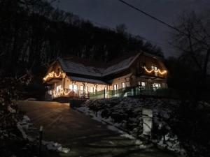 a house lit up at night with lights at Pensiunea Nossa Panzió in Corunca