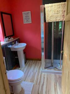 a bathroom with a shower and a toilet and a sink at Snowberry Cottage No 2 in Onich