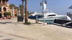 a boat is docked at a dock next to palm trees at Marina residence Chalet port ghalib in Port Ghalib