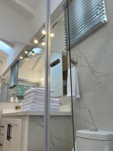 a bathroom with a shower and a toilet and a mirror at Victorias Villas in Villa de Leyva