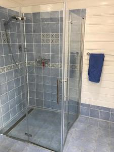 a shower with a glass door in a bathroom at Schöne gemütliche Ferienwohnung mit Kamin I im Harz in Darlingerode