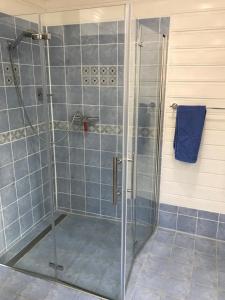 Ένα μπάνιο στο Schöne gemütliche Ferienwohnung mit Kamin I im Harz
