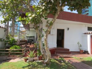 uma árvore no quintal de uma casa em Palm Hostal em Iquique