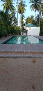 a swimming pool with stairs and palm trees at ULPATHA NATURE RESORT in Kurunegala