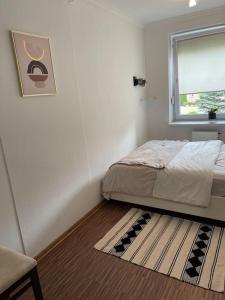 a bedroom with a bed and a window and a rug at Urokliwy Apartament w Nowym Sączu in Nowy Sącz