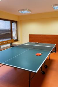 una mesa de ping pong en una habitación con una pelota de ping pong en Villa Ibar, en Borovets