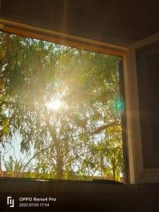 una ventana con el sol brillando a través de un árbol en A&S House en Siwa