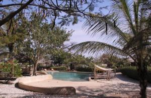 uma piscina num resort com uma palmeira em Les Collines De Niassam em Palmarin