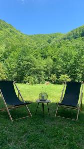 PoeniにあるCottage by the river Valea Draganuluiの草の中の椅子2脚とテーブル