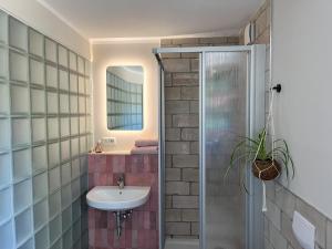 a bathroom with a sink and a shower at Komfort Zone in Wolfsburg