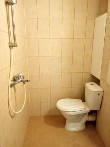 a small bathroom with a toilet and a shower at Апартамент Александр 1 in Burgas City