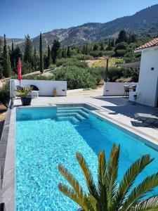 a blue swimming pool with a palm tree next to a house at Villa Katerina Kefalonia in Kefallonia