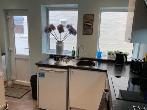 a kitchen with a counter and a sink and two windows at Ground Floor Apartment in Exmouth