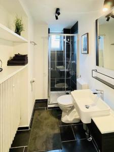 a bathroom with a toilet and a shower and a sink at Mitten in Nastätten und doch im Grünen: schönes und modernes Apartment in Nastätten
